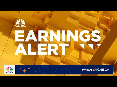 Palantir meets earnings expectations, beats on revenue