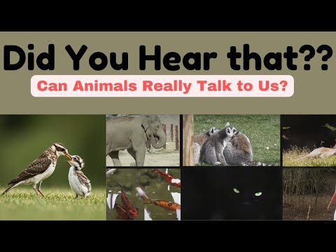 MIND-BLOWING Animal Communication Secrets Revealed!